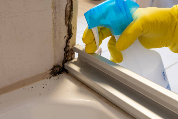 Best Crawl Space Mold Removal  in Garden Grove, FL