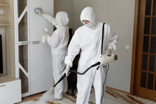 Best Toxic Mold Removal  in Garden Grove, FL