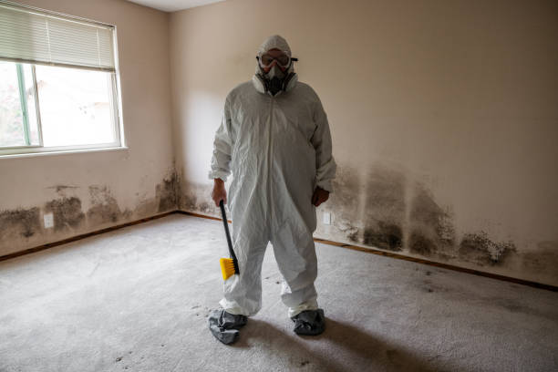 Best Residential Mold Removal  in Garden Grove, FL